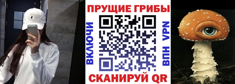 Псилоцибиновые грибы Psilocybe  Сим 